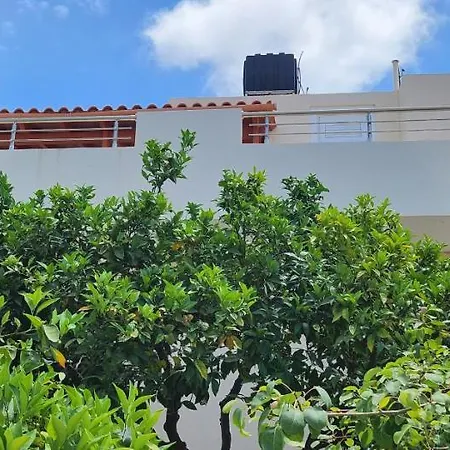 Elli Villa